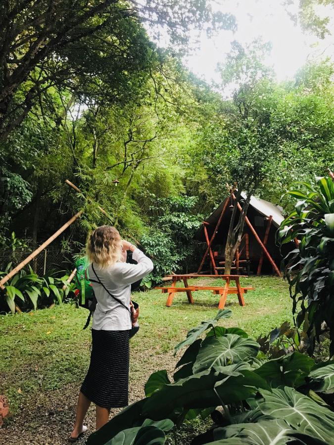 Bambu Glamping Ecolodge Medellín Buitenkant foto